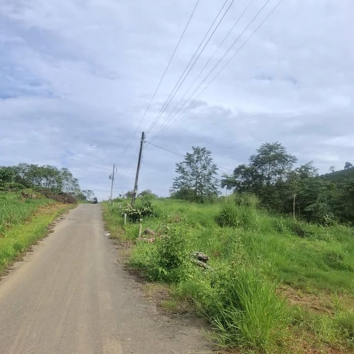 Đất thổ cư Tân Lạc Bảo Lâm 130m² chỉ 450 triệu - Cơ hội vàng cho nhà đầu tư!