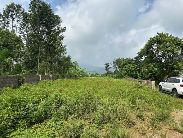 Đất ở Yên Bài - Ba Vì 720m² sổ đỏ chính chủ - Cơ hội đầu tư tốt!