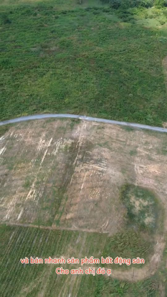 Đất nền 5 hecta tại Tân Định 55, Bắc Tân Uyên - Giá chỉ 75 tỷ