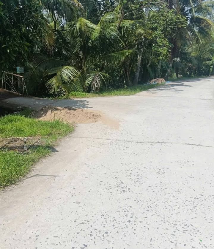 Đất thổ cư Tân Hưng, Ô Môn, Cần Thơ 250m² giá 560 triệu - Xây nhà ngay!