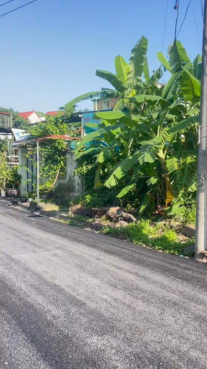 Đất Phân Lô Kim Long, Tam Dương 126m² chỉ 1.8 tỷ - Đầu tư sinh lời ngay!