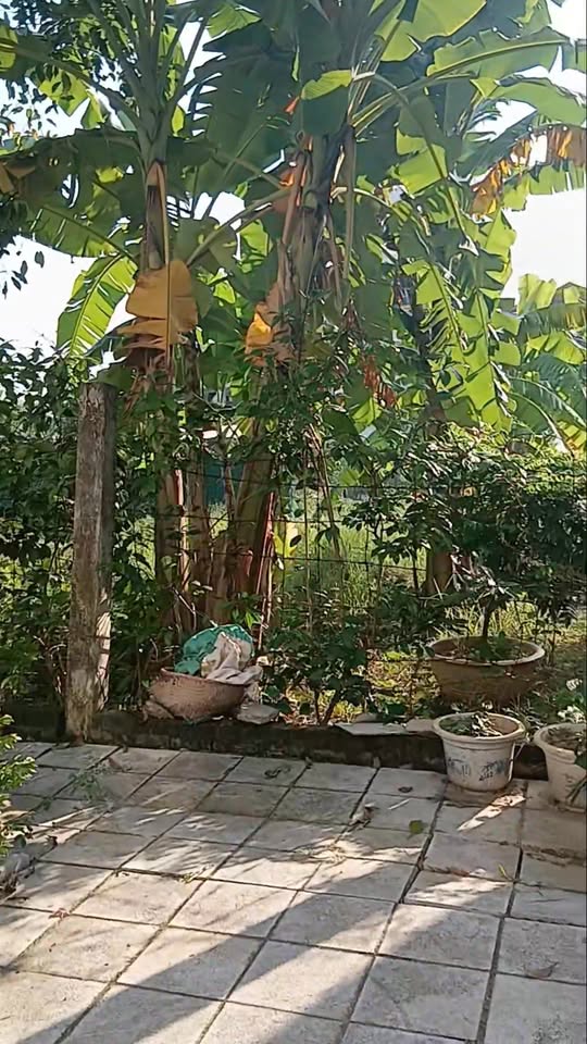 Đất dịch vụ Trạm Trôi 109m² giá 15.288 tỷ - View biệt thự Lideco tuyệt đẹp!