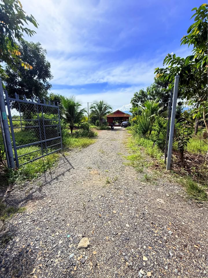 Nhà vườn Diên Lâm - Diên Khánh 4181m² giá 5.018 tỷ - Không thể bỏ lỡ!