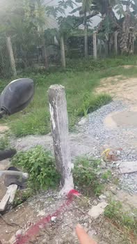 Đất nền Mặt tiền đường Quốc Phòng, xã Nghĩa Thuận, 125m² - Vị trí kinh doanh sầm uất!