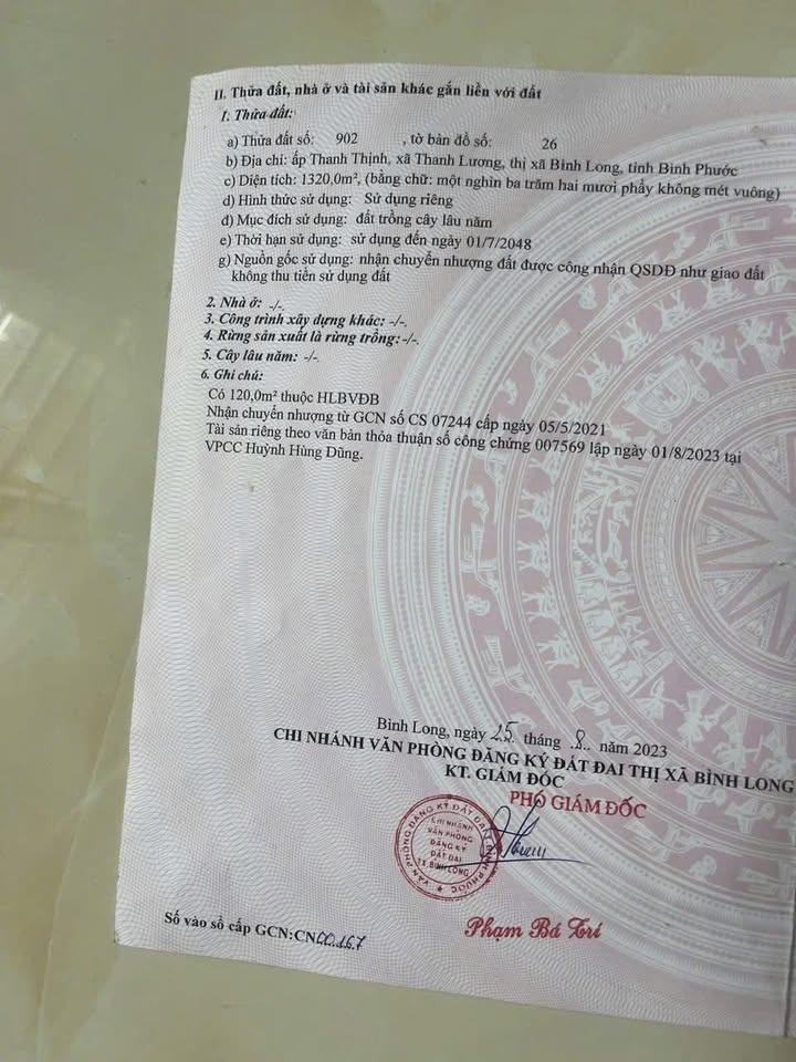 Đất nền Thanh Lương 1320m² giá chỉ 1.28 tỷ - Cơ hội đầu tư tuyệt vời!