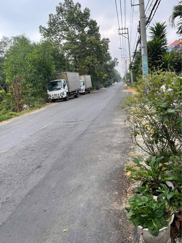 Đất vườn 5100m² Tân Nhựt Bình Chánh giá 35 tỷ - Vị trí đẹp, pháp lý rõ ràng!