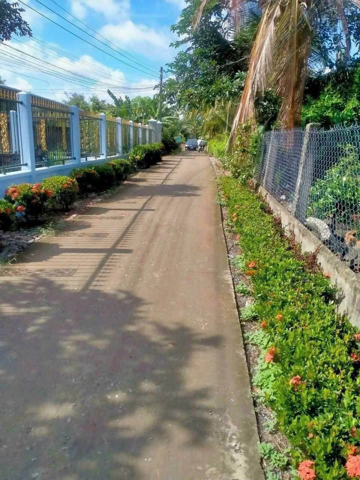 Đất thổ cư Mỹ An, Thủ Thừa 105m² giá 450 triệu - Cơ hội đầu tư hấp dẫn!