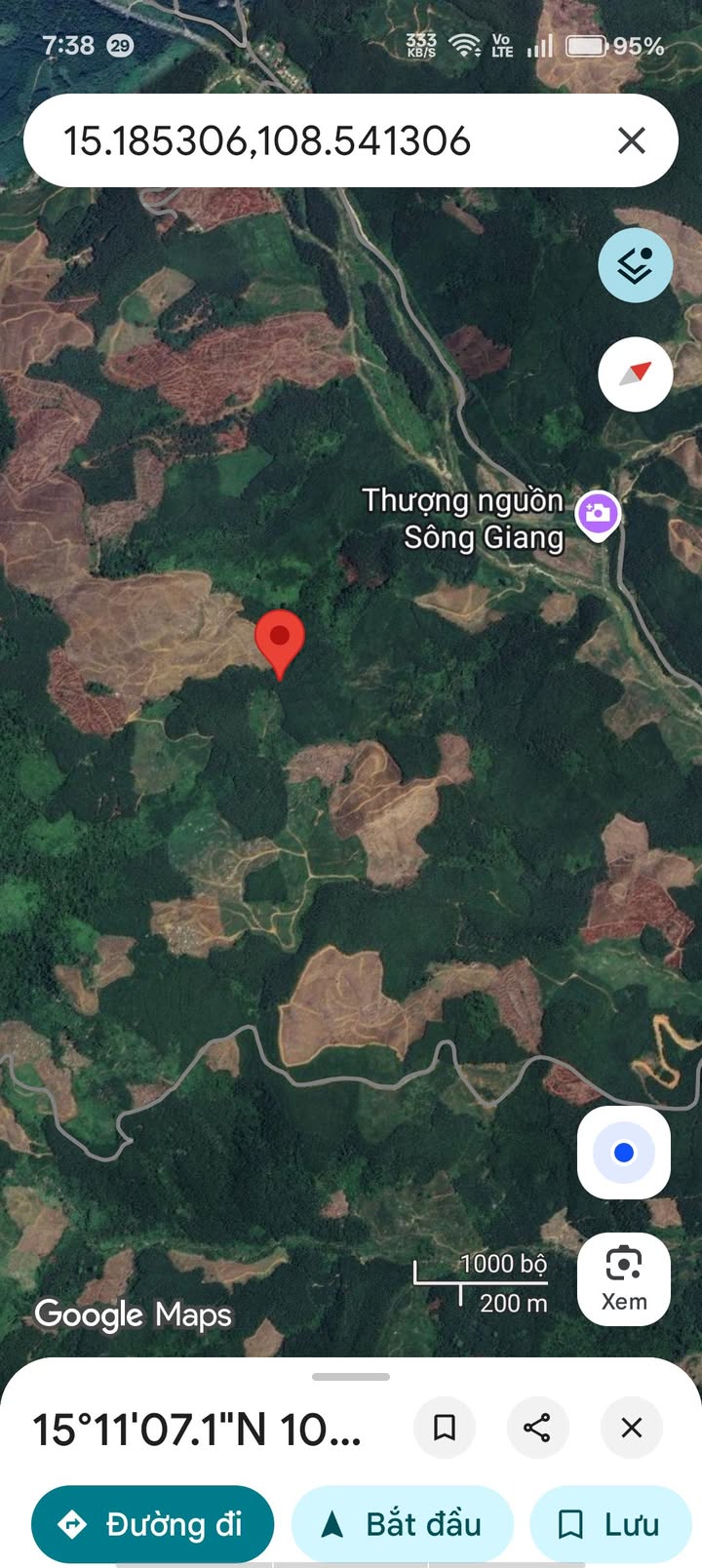 Đất rừng Trà Tân 3.5ha giá chỉ 252 triệu - Đầu tư sinh lời từ keo!