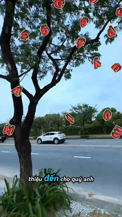 Villa biển Võ Nguyên Giáp, Đà Nẵng 190m² giá 43 tỷ - Đầu tư sinh lời bền vững!