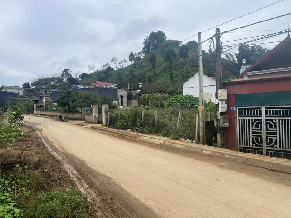 Lô đất 1655m² tại Mộc Châu - Vị trí đẹp, pháp lý rõ ràng, đầu tư sinh lời cao!