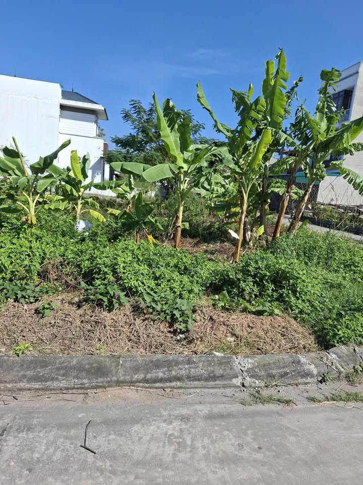 Biệt thự 2 mặt tiền Hoàng Quế 285m² giá chỉ 2.85 tỷ - Pháp lý rõ ràng!