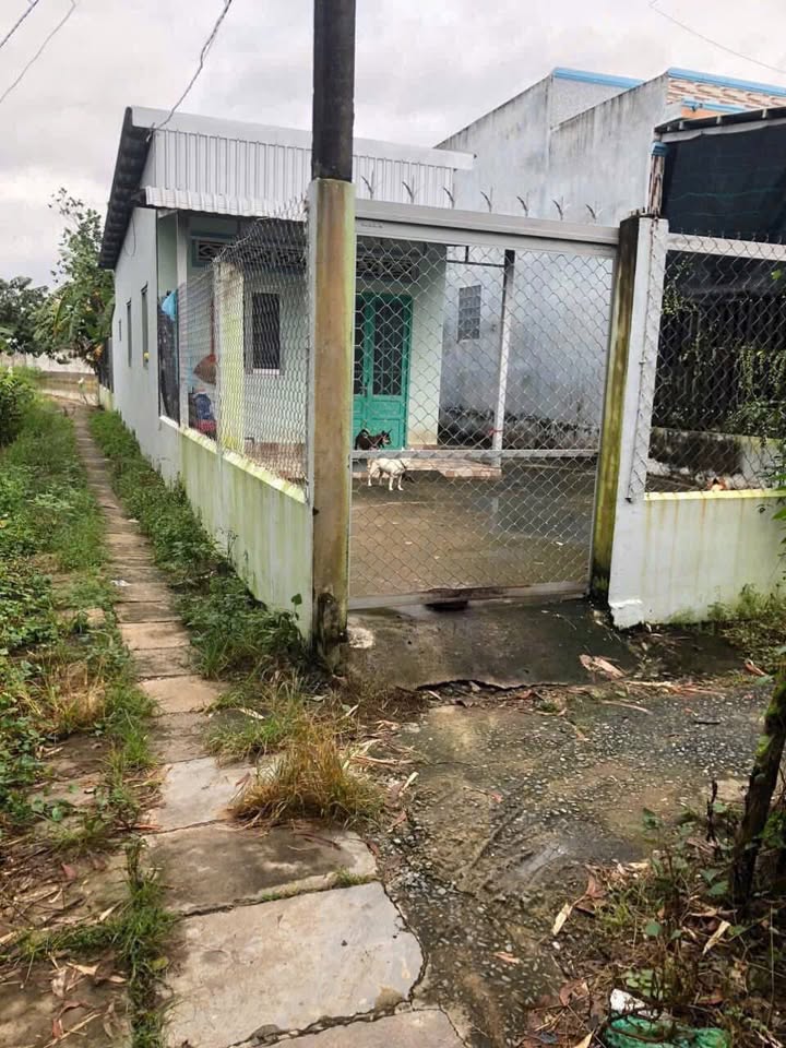 Nhà cấp 4 258m² xã Mỹ Lệ, Cần Đước - Giá 1.6 tỷ, chính chủ bán gấp!