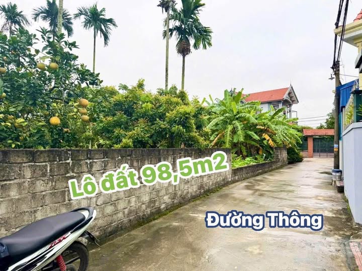 Đất nền Thiên Hương, Thủy Nguyên 98m² giá 1.6 tỷ - Vị trí đắc địa gần khu công nghiệp