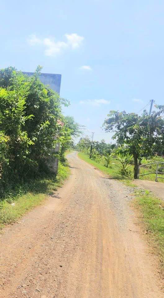 Lô đất thổ cư 1200m² xã Mỹ Lộc, giá chỉ 1.95 tỷ - Cơ hội đầu tư tuyệt vời!