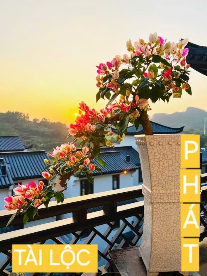 Lô đất hẻm 5M Lê Đức Thọ, Gò Vấp 240m² giá 11.8 tỷ - Cơ hội đầu tư không thể bỏ lỡ!