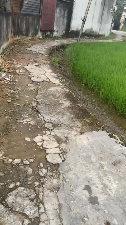 Đất vườn xã Phước Lý, huyện Châu Thành 1380m² giá 4.7 tỷ - Cơ hội đầu tư hấp dẫn!