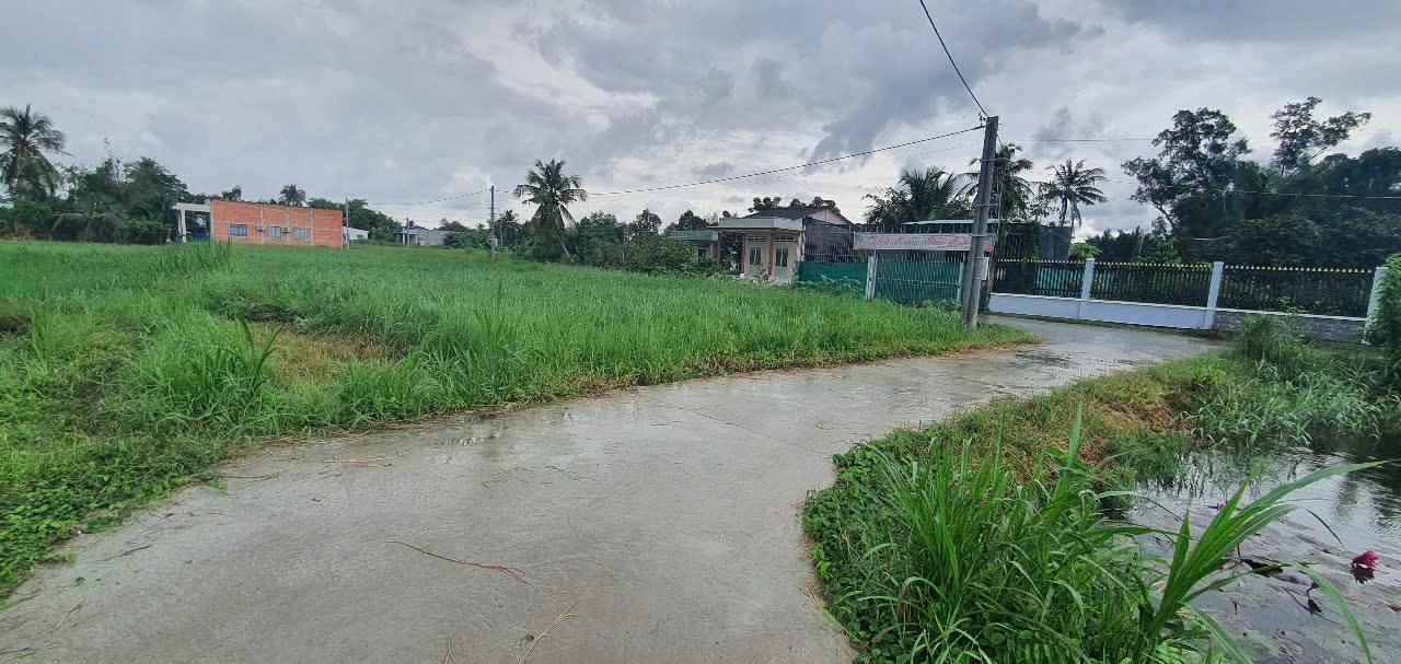 Đất nền Tân Bình, Tân Trụ, Long An 990m² giá 1.2 tỷ - Đầu tư sinh lời ngay!