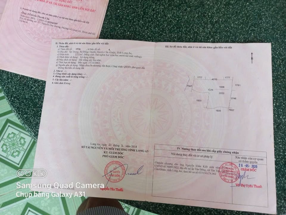 Đất nền 3.000m² tại ấp Trung, xã Đông Thạnh, Cần Giuộc - Giá chỉ 4 tỷ, thương lượng!