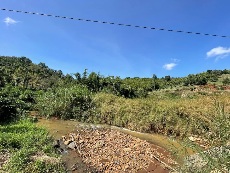 Đất nền 10ha Quảng Tân Tuy Đức giá chỉ 5 tỷ - Sổ đỏ đầy đủ!