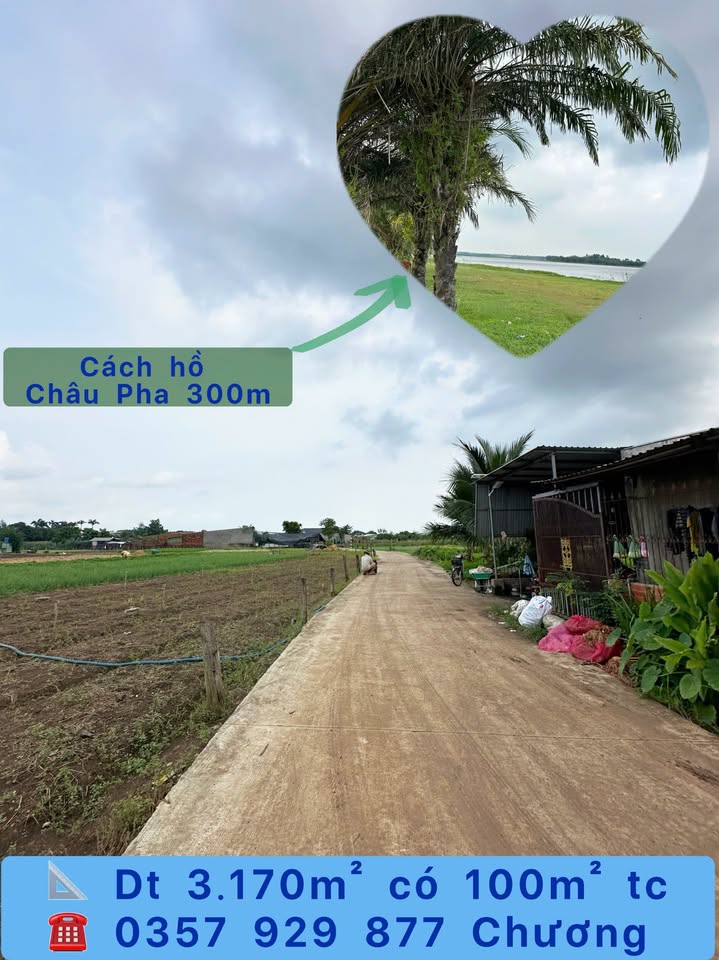 Đất nền Châu Pha, Phú Mỹ 3170m² giá 4,5 tỷ - Gần hồ Châu Pha chỉ 300m!