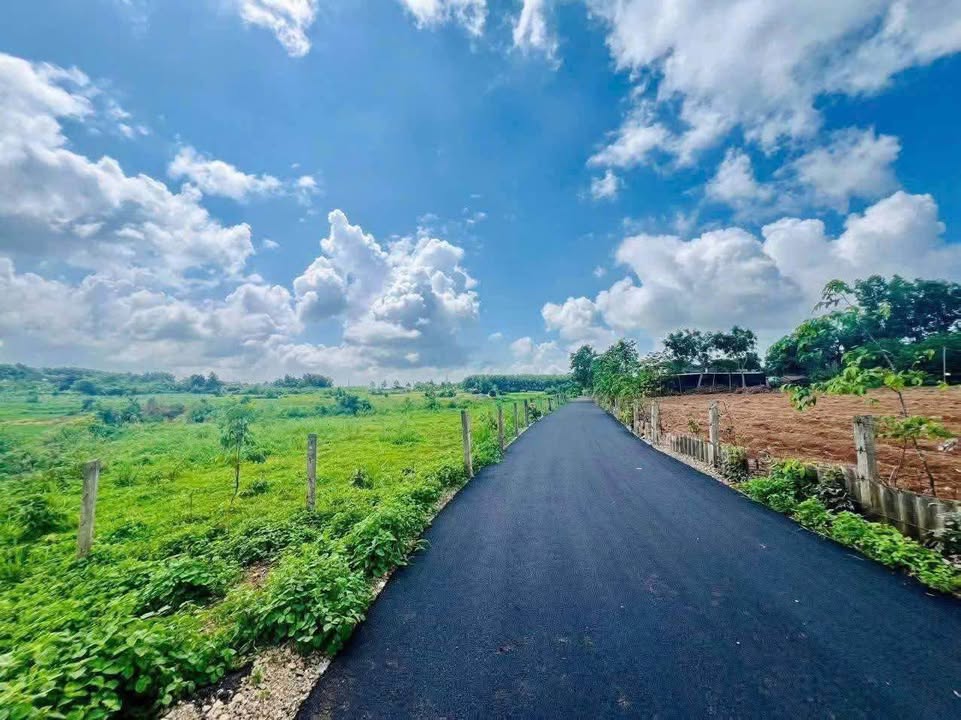 Đất nền Hòa Long Bà Rịa 1200m² giá 2 tỷ - Đầu tư sinh lời hấp dẫn!