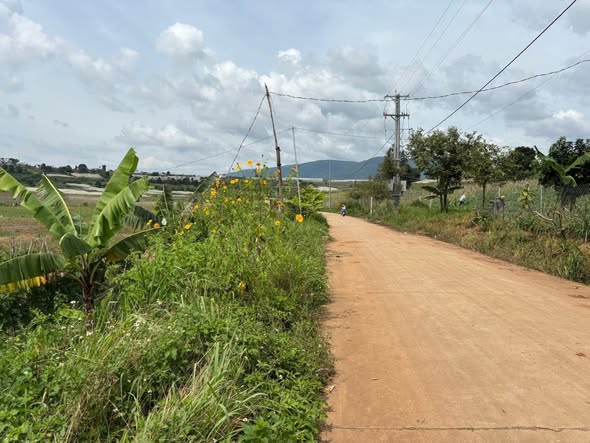 Đất Sào Ka Đô Đơn Dương 3000m² giá 2.1 tỷ - Sổ đỏ chính chủ, đường dễ đi!