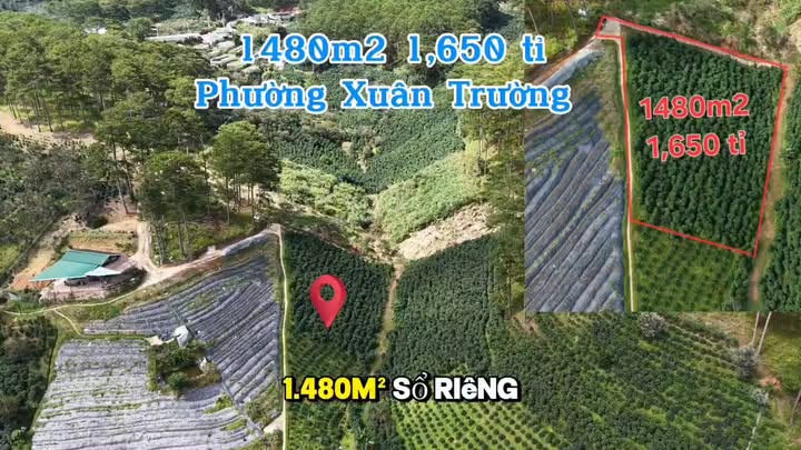 Đất nền Xuân Thọ Đà Lạt 1480m² giá 1.65 tỷ - Cơ hội đầu tư không thể bỏ qua!