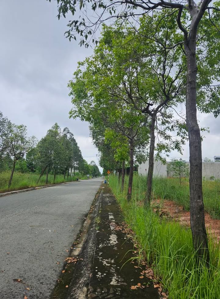 Đất nền Bến Cát 160m² giá 1.6 tỷ - Sổ đỏ chính chủ, cơ hội đầu tư tuyệt vời!