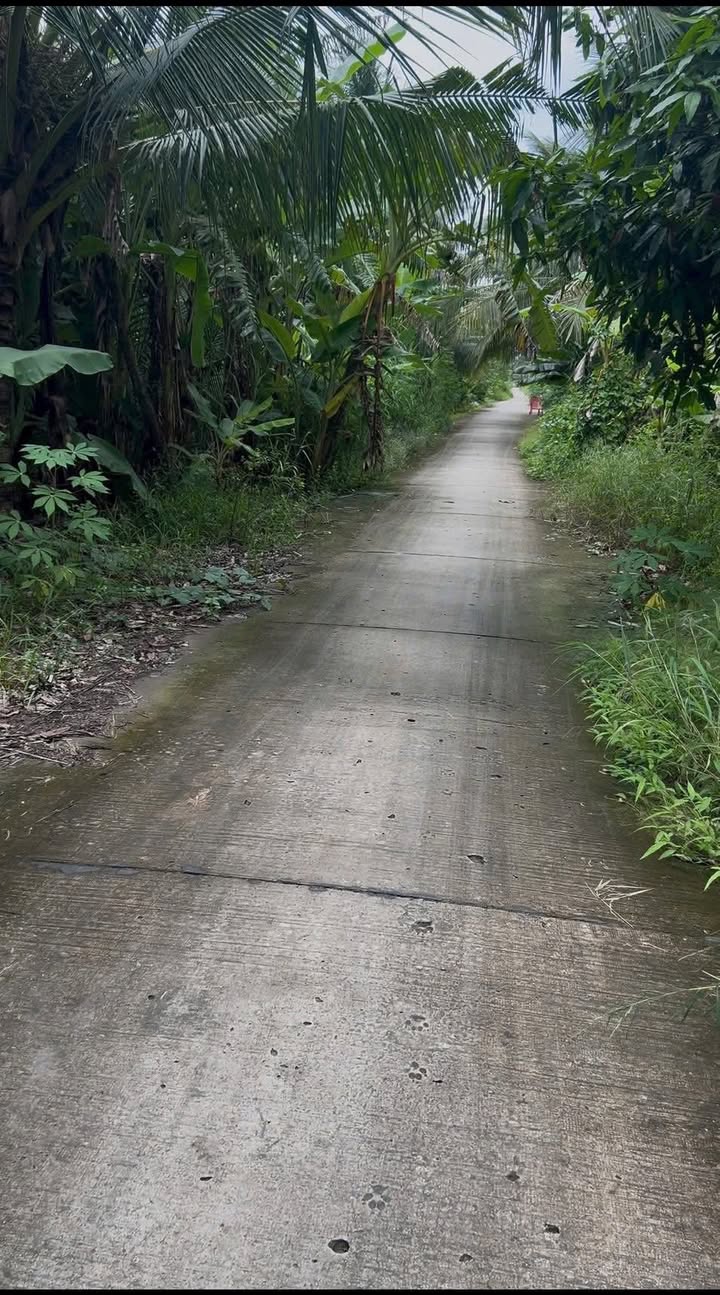 Đất nền Trinh Phú Kế Sách 1100m² giá 6.6 tỷ - Sổ hồng riêng, vị trí đẹp!