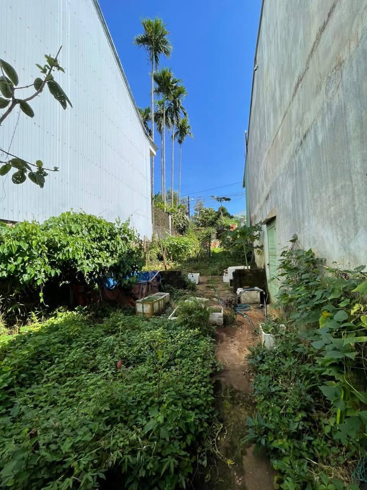 Đất hẻm 55 Phan Đăng Lưu, Pleiku 180m² giá 1.3 tỷ - Hướng Đông Bắc, thương lượng tốt!