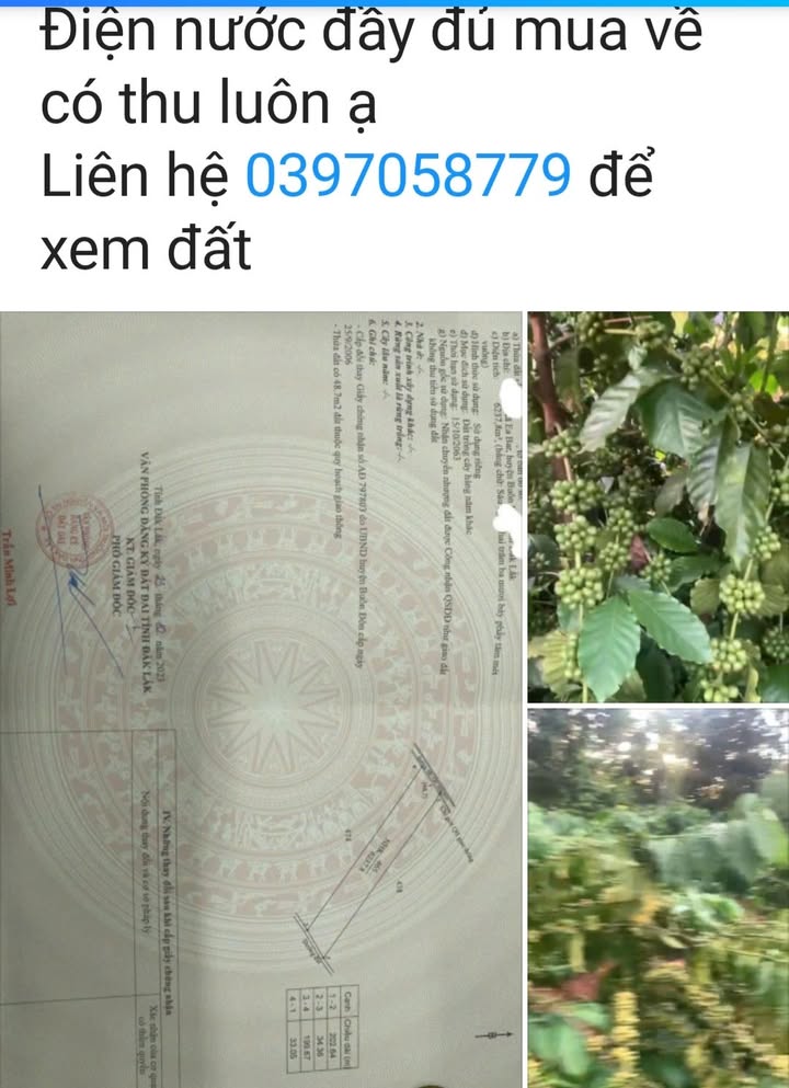 Đất nền 6.2 sào tại Ea Ba, Buôn Đôn - Giá chỉ 2.2 tỷ, đầu tư ngay!