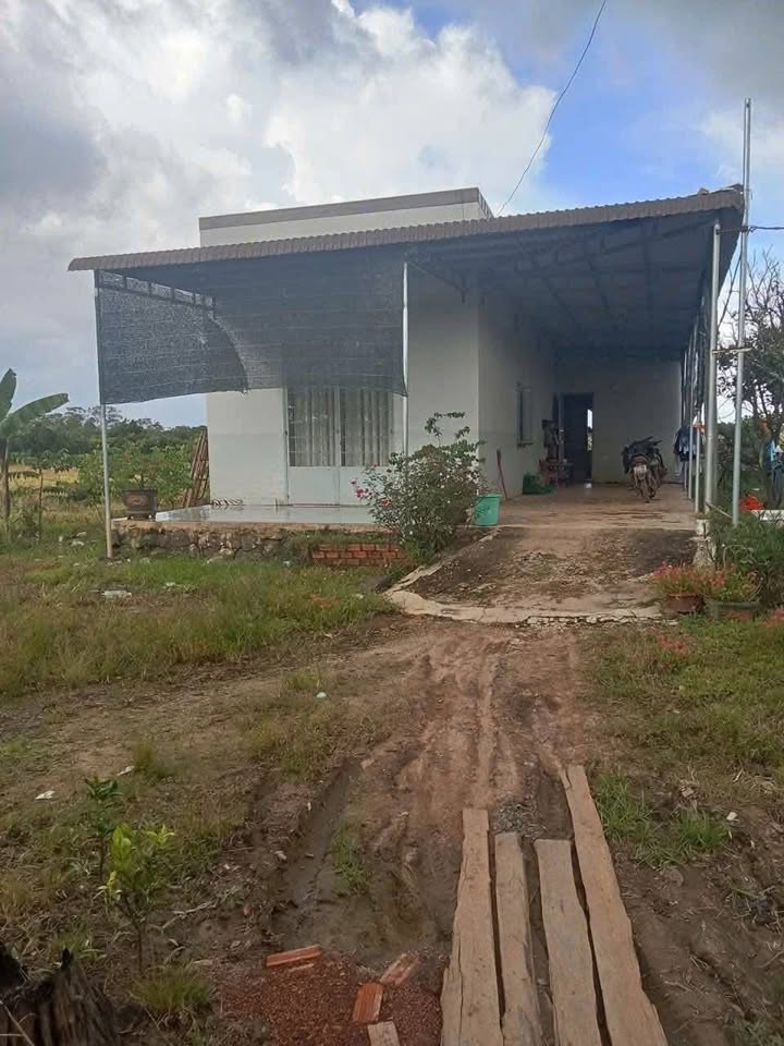 Đất trống 12.900m² tại Buôn Đôn, Đắk Lắk - Giá chỉ 4.644 tỷ - Cơ hội đầu tư tuyệt vời!