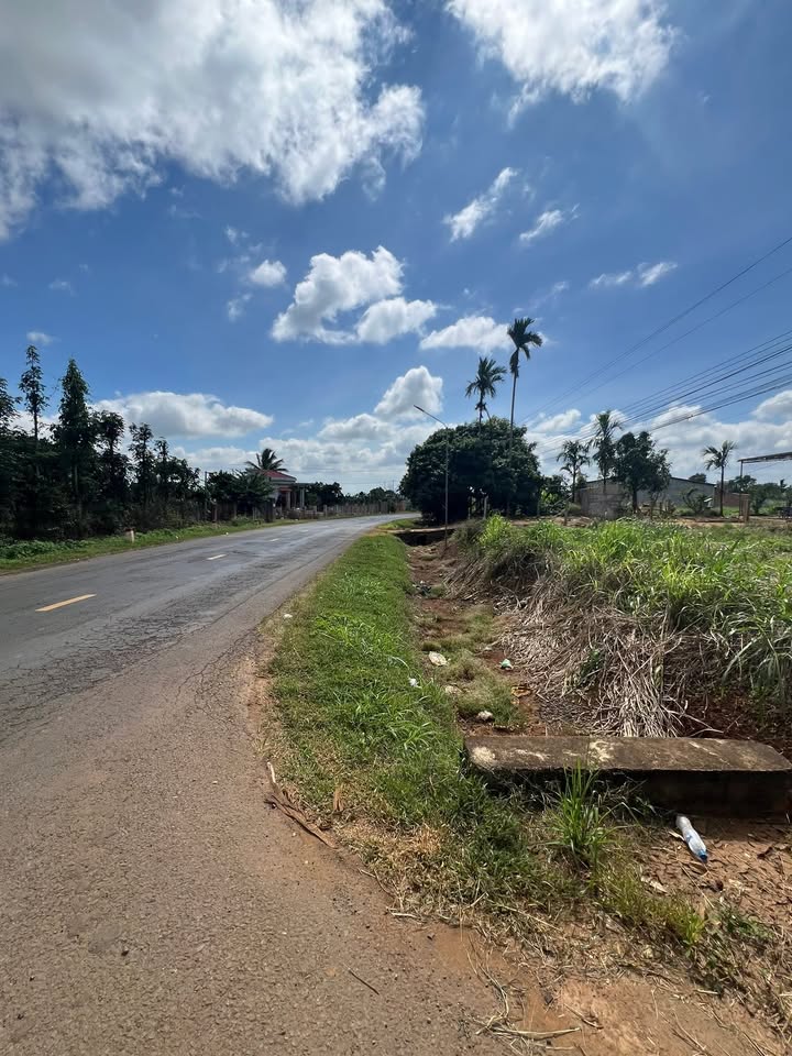 Đất nền Tam Giang, Krông Năng 1000m² - Mặt tiền QL29, giá thỏa thuận!