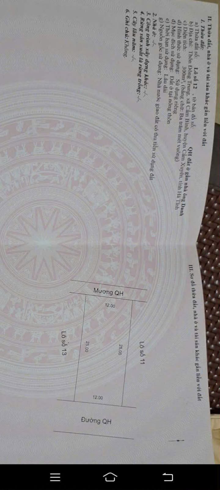 Đất nền Cẩm Bình 300m² giá 800 triệu - Đầu tư sinh lời ngay!