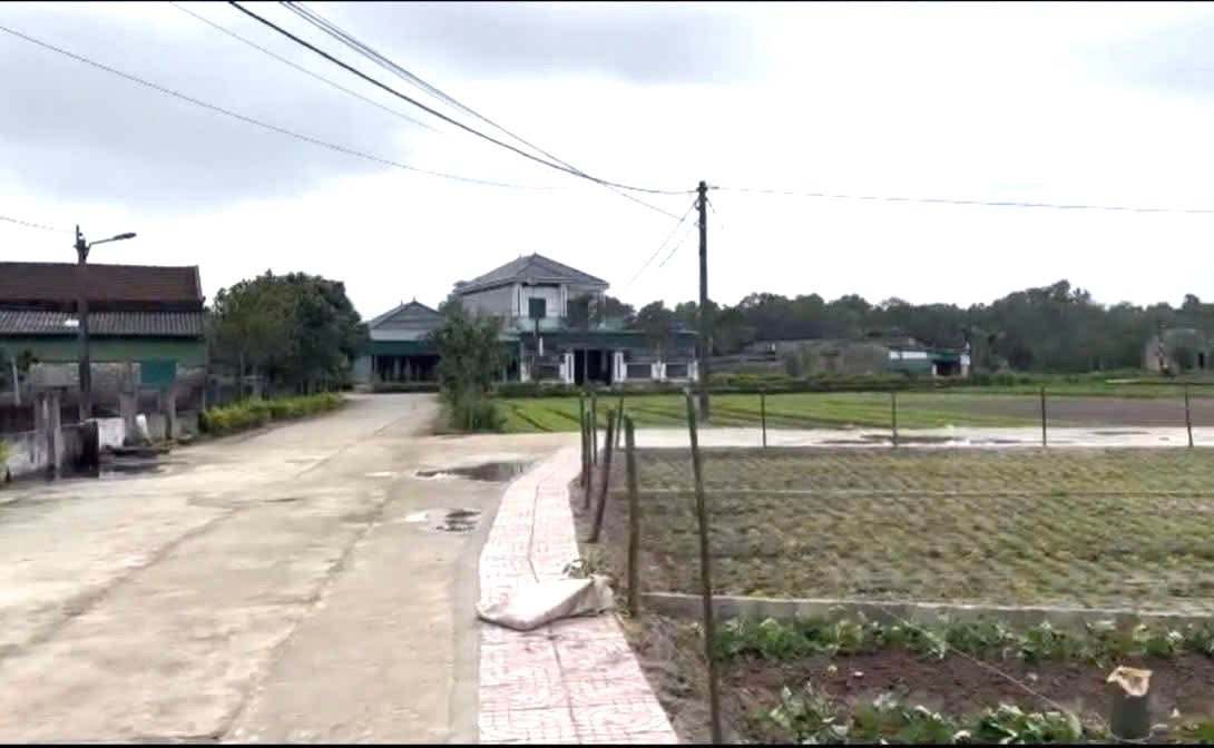 Đất Thạch Trị 250m² giá 700 triệu - Mặt tiền đường ôtô tránh nhau!