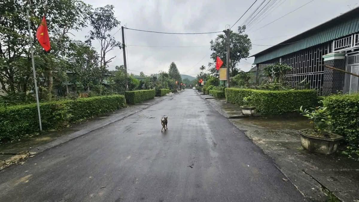 Đất thổ cư 400m² tại xã Thọ Điền, huyện Vũ Quang, 620m² - Giá thương lượng hấp dẫn!