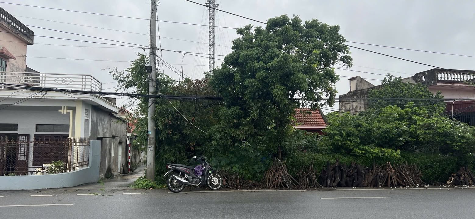 Đất nền khu phố 4 Rạng Đông 140m² giá 3 tỷ - Cơ hội đầu tư sinh lời cao!