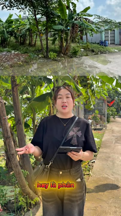 Đất nền Tam Phước Biên Hoà 592.8m² giá thỏa thuận - Cơ hội đầu tư không thể bỏ qua!