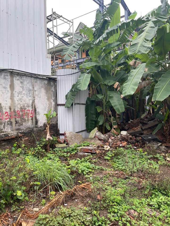 Đất nền chính chủ Cách Hạ, Nam Sơn, An Dương 125m² giá 2.5 tỷ - Vị trí đắc địa, tiện ích đầy đủ!