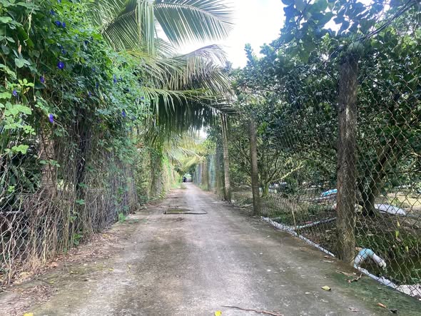 Đất vườn 735m² Tân Mỹ Chánh, TP Mỹ Tho - Giá chỉ 2.2 tỷ, thương lượng!