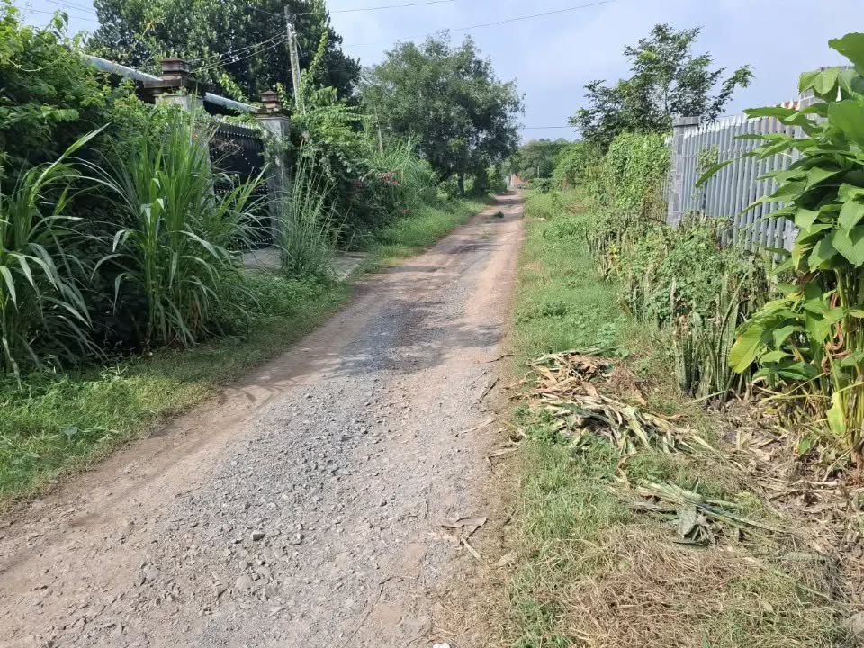 Đất nền Trảng Bàng Tây Ninh 1143m² giá 1.6 tỷ - Cơ hội đầu tư sinh lời!