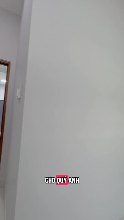 Nhà 2 tầng hẻm xe hơi Lê Thúc Hoạch 50m² giá 6.45 tỷ - Sẵn sàng vào ở!