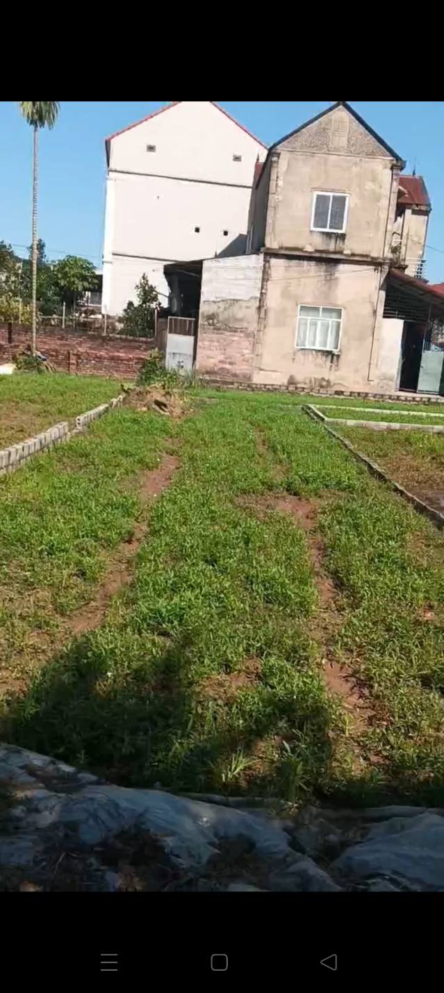 Đất Thư Phú, Thường Tín 76.5m² giá 5 triệu/m² - Đầu tư sinh lời ngay!