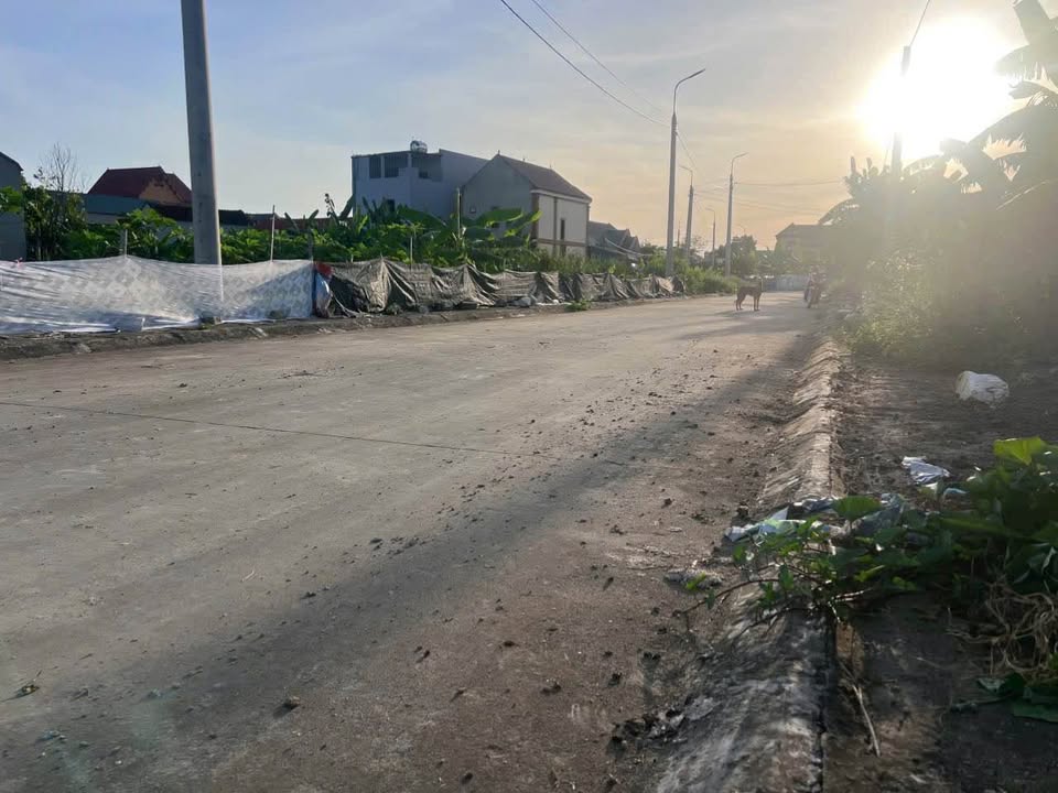 Đất nền phường Đông Tiến, Sầm Sơn 196m² giá 800 triệu - Cơ hội đầu tư tuyệt vời!