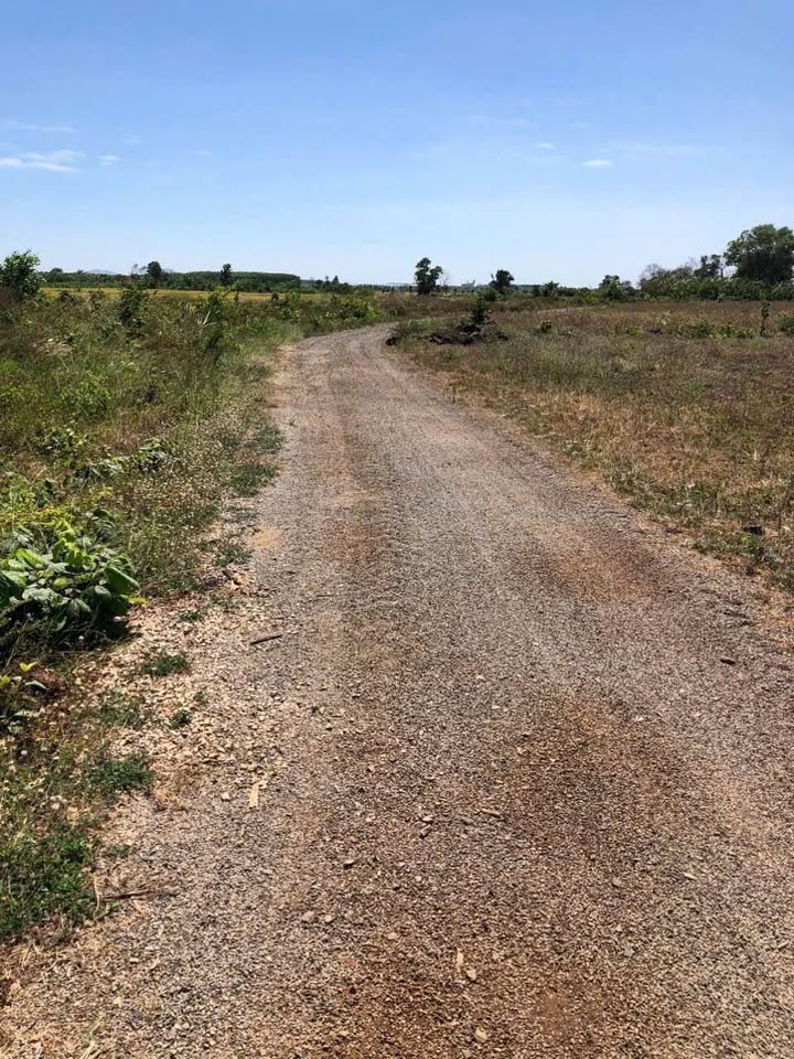 Đất vườn 6 sào 3 Phước Long Thọ giá 2.5 tỷ - Cơ hội đầu tư hấp dẫn!