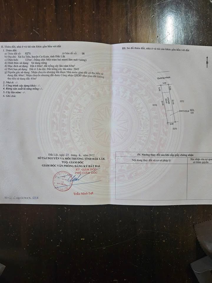 Đất nền đường Buôn Etieu, xã Ea Tiêu, 125m² giá 300 triệu - Cơ hội đầu tư hấp dẫn!