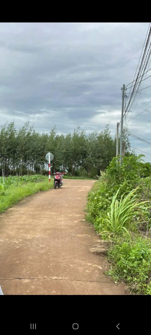 Đất nền Xuân Tây Cẩm Mỹ 2100m² giá 6.3 tỷ - Khu dân cư đông đúc, giao thông thuận tiện!