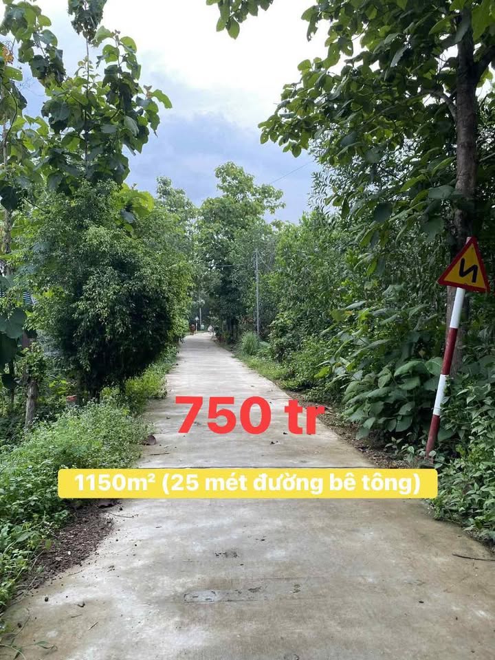 Đất sào tại xã Định Quán, Đồng Nai 1150m² chỉ 600 triệu - Bán gấp!