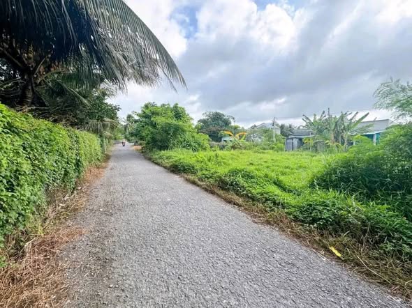 Đất nền Hốc Lựu, Mỹ Phong 115m² giá 700 triệu - Cơ hội đầu tư tuyệt vời!