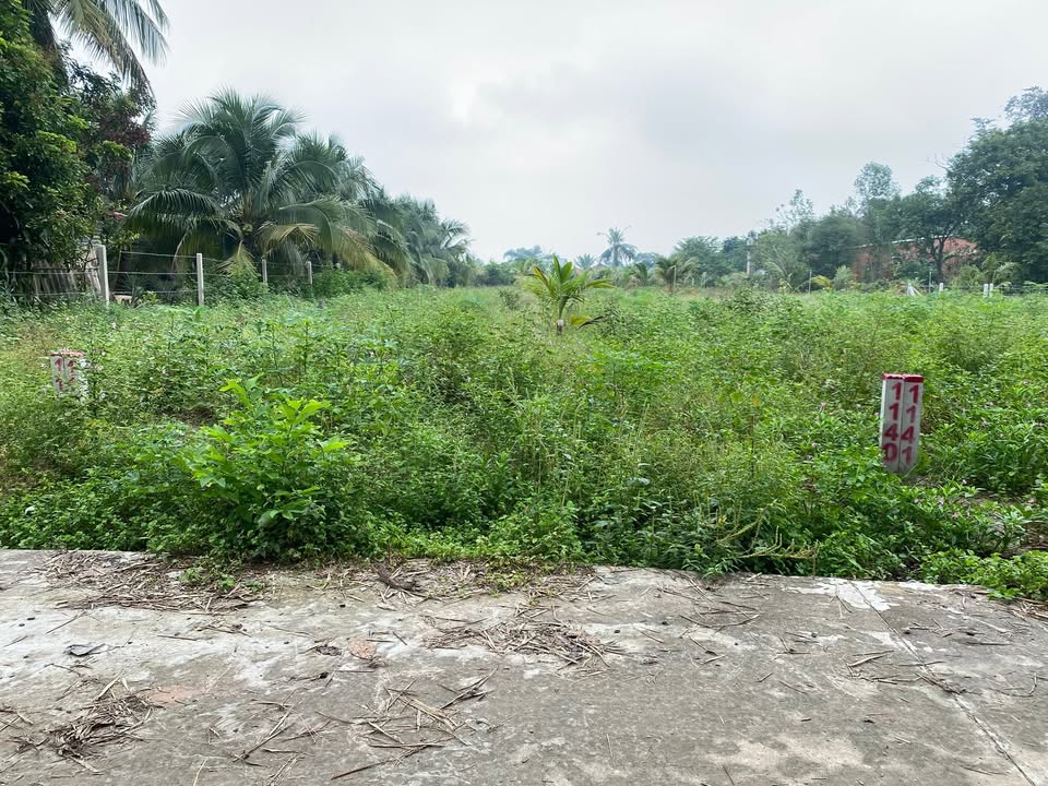 Đất nền Dương Minh Châu Tây Ninh 160m² giá 200 triệu - Cơ hội đầu tư hiếm có!